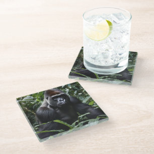 The Midnight Gorilla King: Monarch of the Forest Glass Coaster
