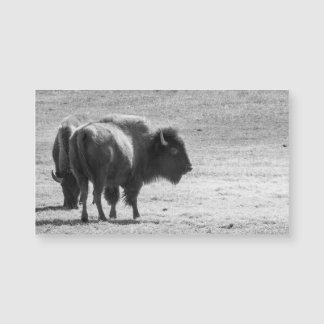 The Mighty Buffalo