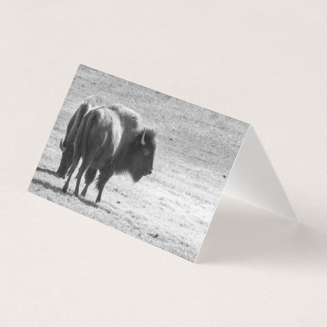 The Mighty Buffalo  (Front)