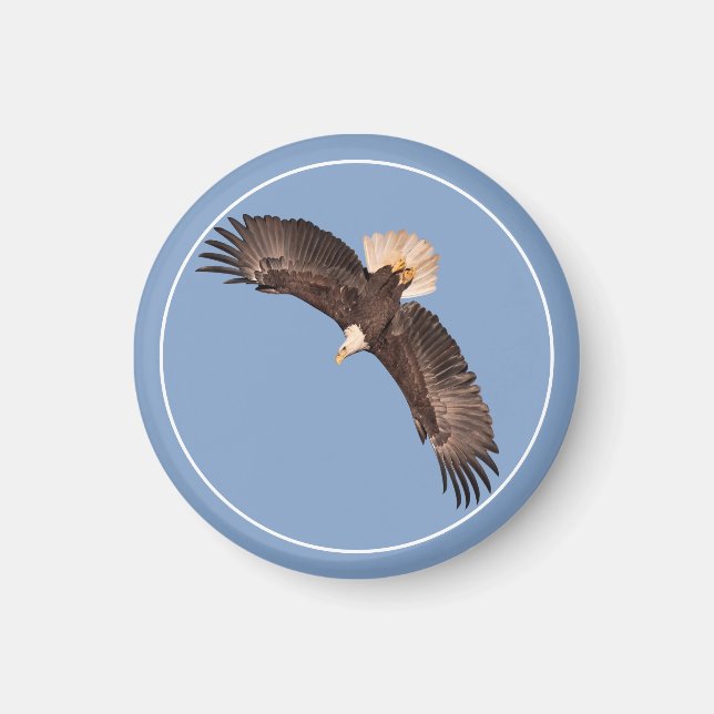 The Mighty Eagle Magnet (Front)