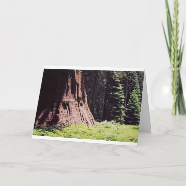 The Mighty Sequoia Card (Front)