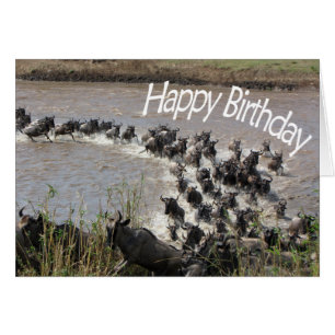 The Migration (Wildebeest River Crossing) - HB