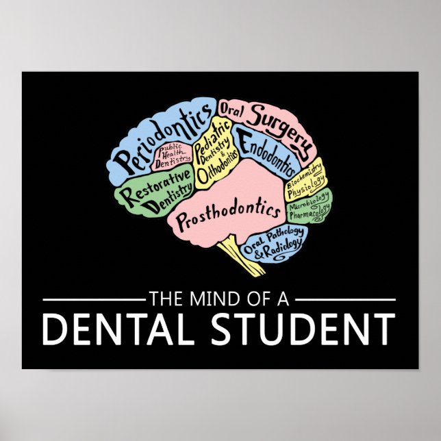 The Mind of a Dental Student Poster (Front)