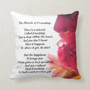 The Miracle of Friendship Poem pillow