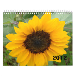 The Miss Molly Photography Calendar