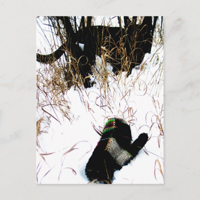 The Mitten Ukrainian Folk Tale Postcard (Front)