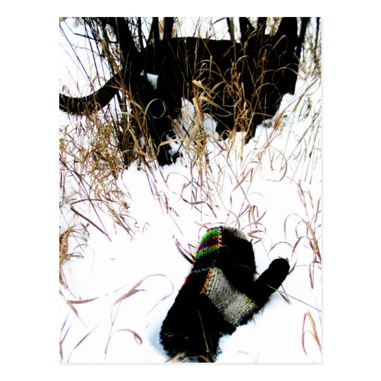 The Mitten Ukrainian Folk Tale Postcard