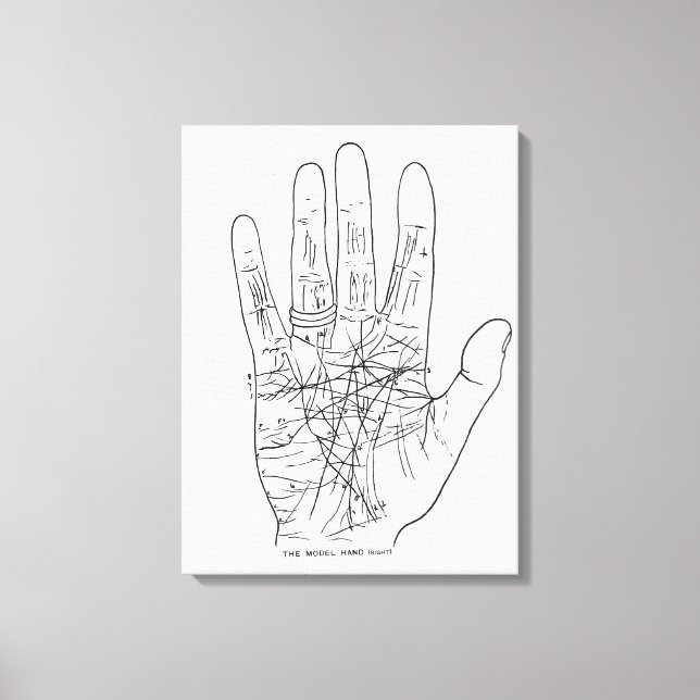 The Model Hand Canvas Print (Front)