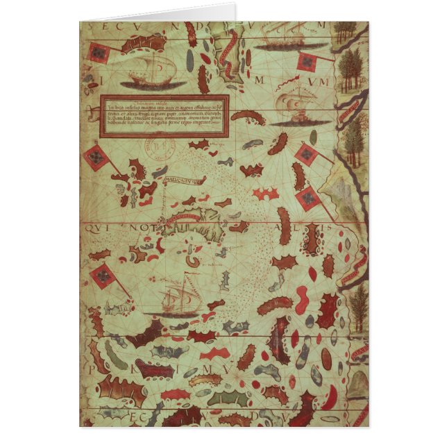 The Moluccas (Front)