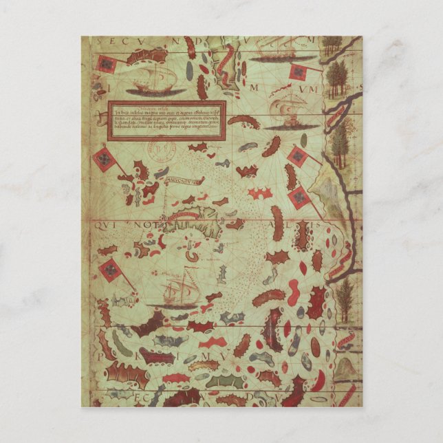 The Moluccas Postcard (Front)