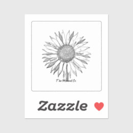 The Moment Co. Supports