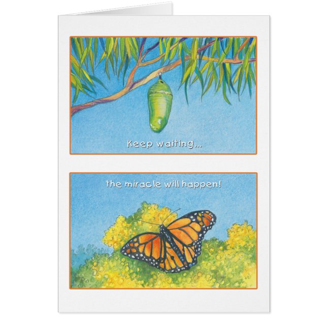 The Monarch Butterfly- Psalm 27:14 (Front)