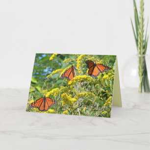 The Monarchs - Blank Greeting Card