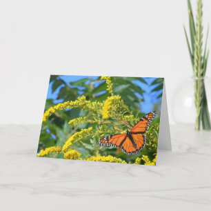 The Monarchs - Blank Greeting Card