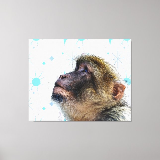 The Monkey Looks At Mid Century Modern Wallpaper Canvas Print (Front)