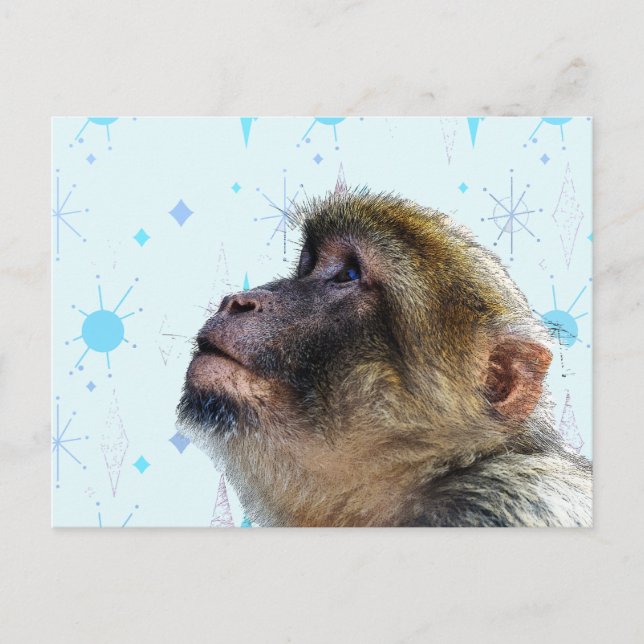 The Monkey Looks At Mid Century Modern Wallpaper Postcard (Front)