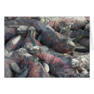 The monster pact postcard