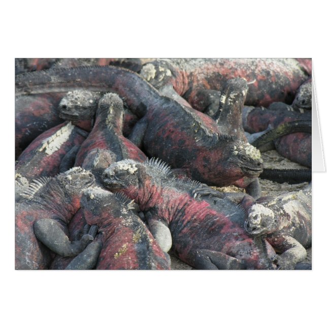 The monster pact postcard (Front Horizontal)