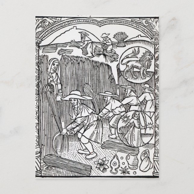 The Month of August, from a shepherd's calendar Postcard (Front)