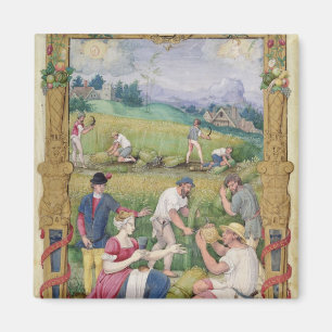 The Month of August: The Harvest Magnet