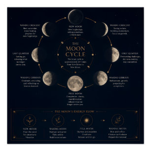 The Moon Cycle & Meaning of Phases Poster