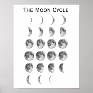 The Moon Cycle Poster