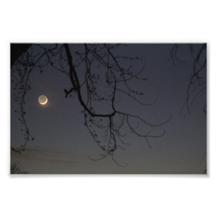 The Moon & Mercury Photo Print