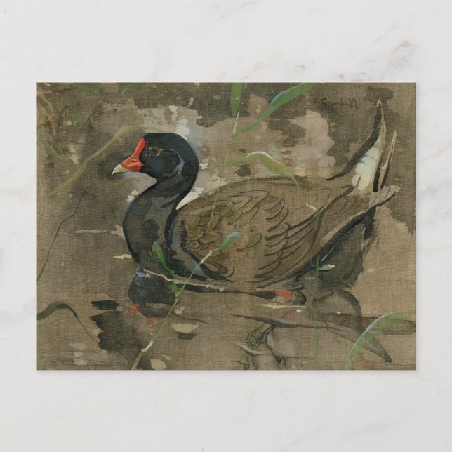 The Moorhen | Joseph Crawhall Postcard (Front)