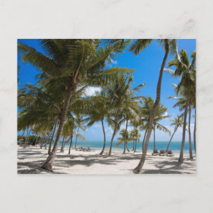 The Moorings Resort, Marathon, Key West, 2 Postcard