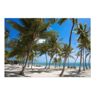 The Moorings Resort, Marathon, Key West, Photo Print