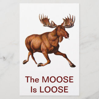 THE MOOSE IS LOOSE