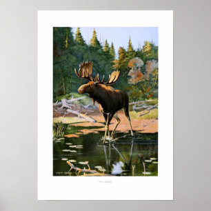 The Moose Poster