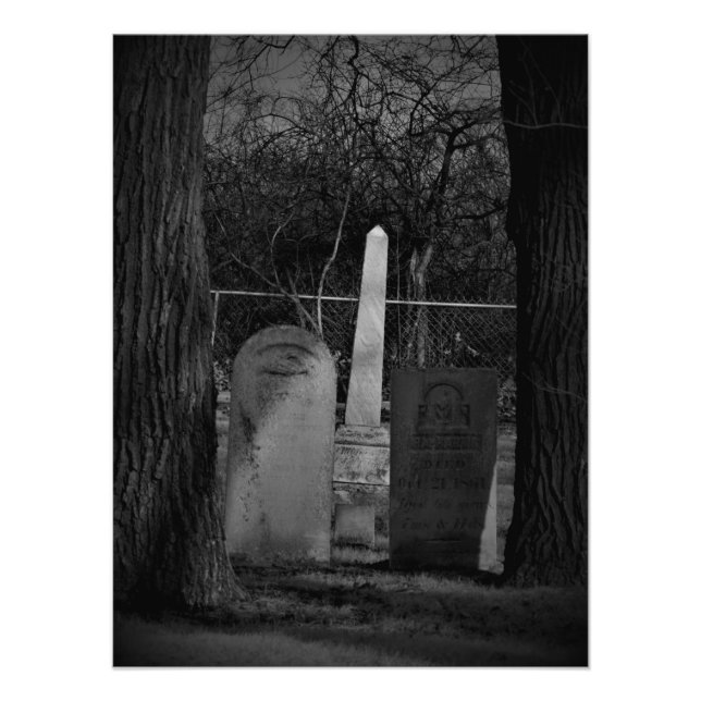 "The Morbid Curious" Photo Print (Front)