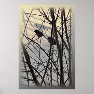 The morning birds poster