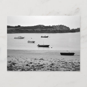 The Morning Stillness Postcard