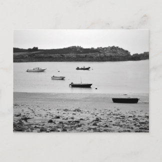 The Morning Stillness Postcard