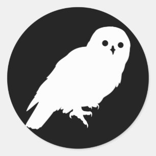 The Most Awesome White Owl On Planet Earth Classic Round Sticker