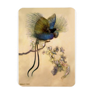 “The Most Beautiful Bird” by Warwick Goble Magnet