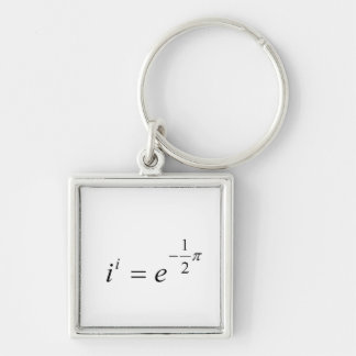 The most beautiful Math Equation Key Ring