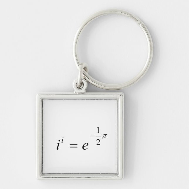 The most beautiful Math Equation Key Ring (Front)