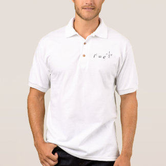 The most beautiful Math Equation Polo Shirt