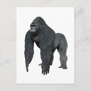 THE MOST DOMINANT POSTCARD