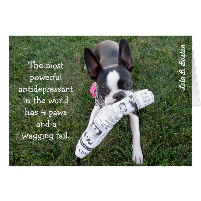 The most powerful antidepressant... BLANK CARD (Front Horizontal)