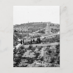 The Mount of Olives in Jerusalem Postcard