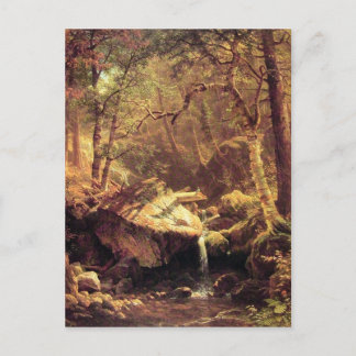 The Mountain Brook Postcard