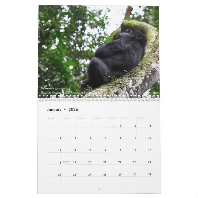 The Mountain Gorilla. No US holidays Calendar (Jan 2026)