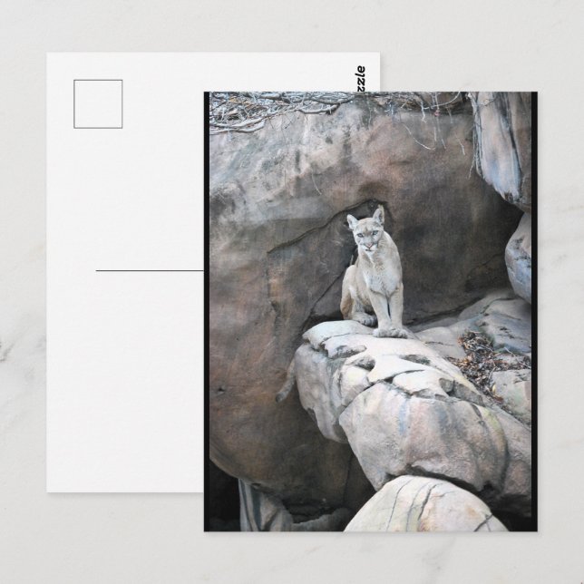 The Mountain King’s Perch Postcard (Front/Back)
