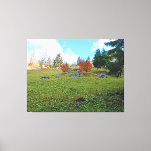 The Mountain Meadow - Wild Nature Romania Canvas Print
