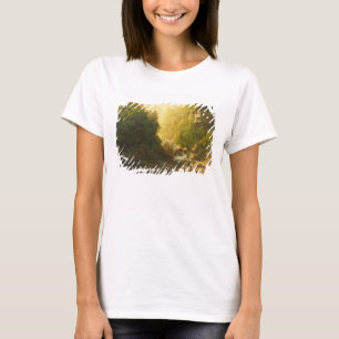 The Mountain Torrent, c.1820-30 (oil on canvas) T-Shirt