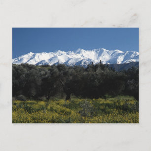 The mountains of Crete Postcard